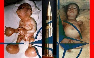 Organización Terrorista OTAN