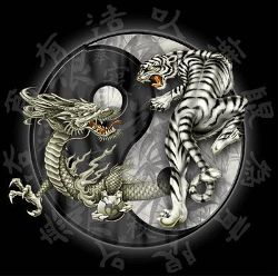 Yin Yang Tigre y Dragón